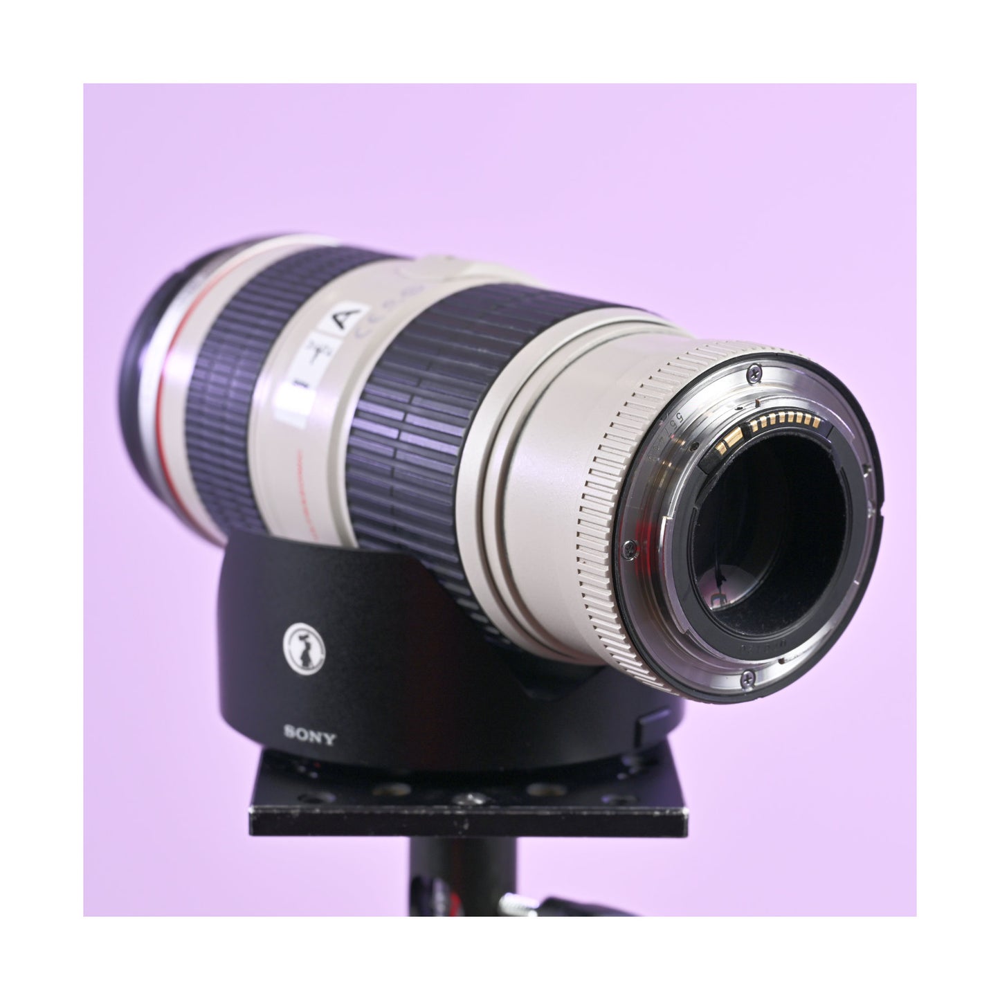 Canon EF 70-200mm F4 IS USM - Ex Rental