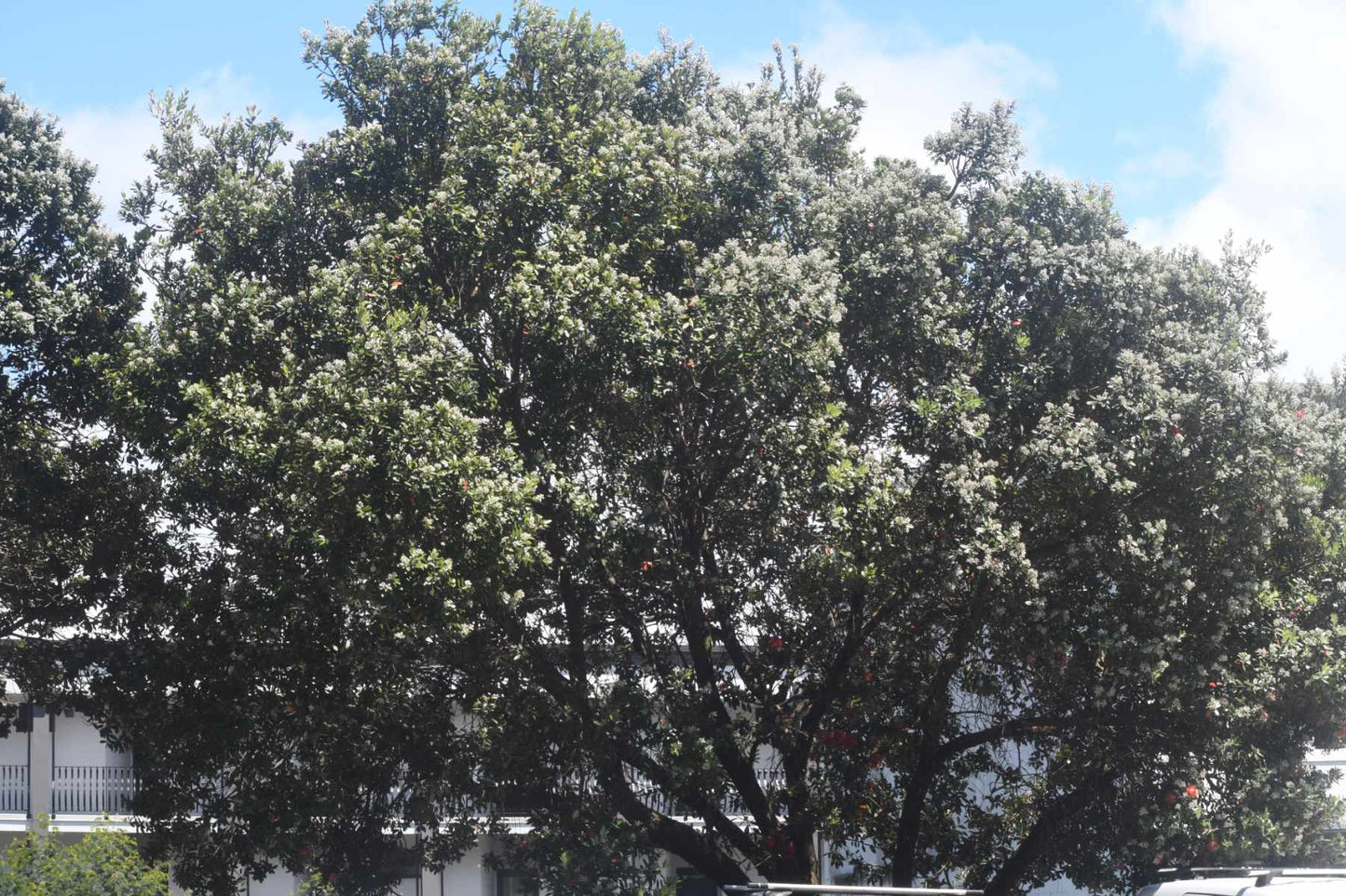 Vivitar Macro Focusing Zoom 75-250mm f/3.8-4.5 Lens (Nikon F Mount) - Second Hand