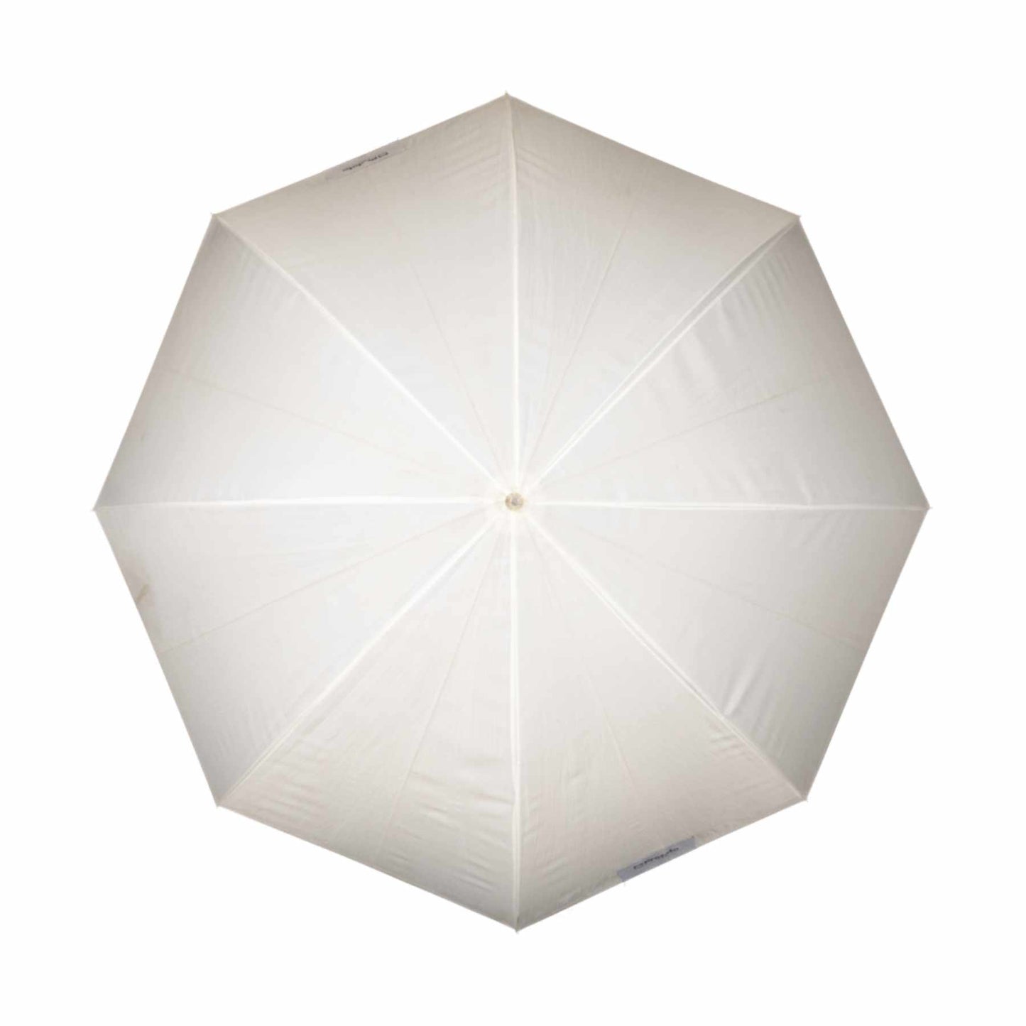 Profoto Medium shallow translucent umbrella - Ex Rental