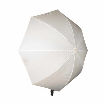 Profoto Medium shallow translucent umbrella - Ex Rental