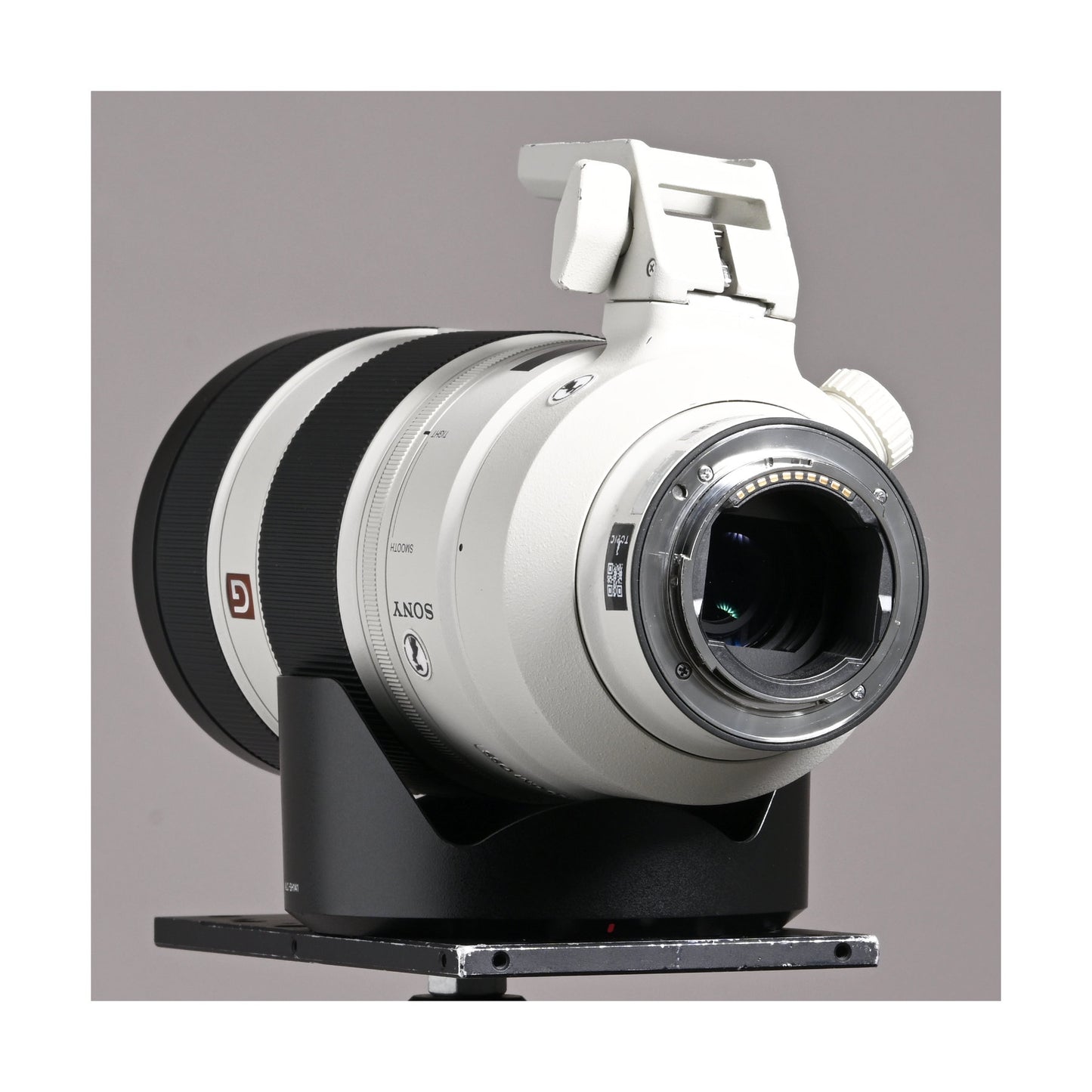 Sony 100-400mm f4.5-5.6 GM - Ex Rental