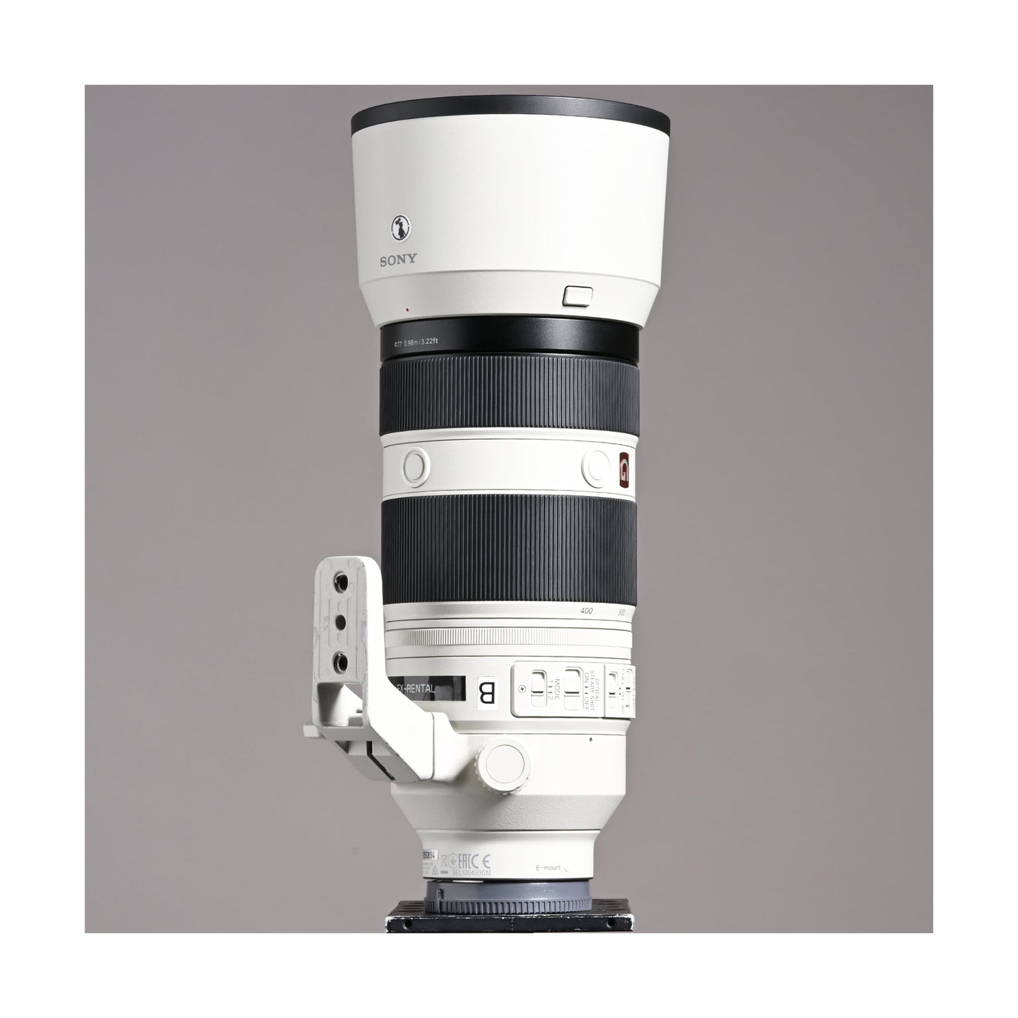 Sony 100-400mm f4.5-5.6 GM - Ex Rental