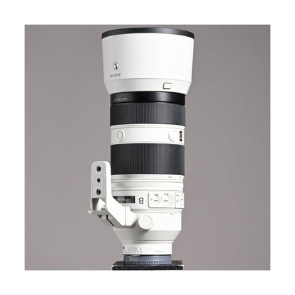 Sony 100-400mm f4.5-5.6 GM - Ex Rental