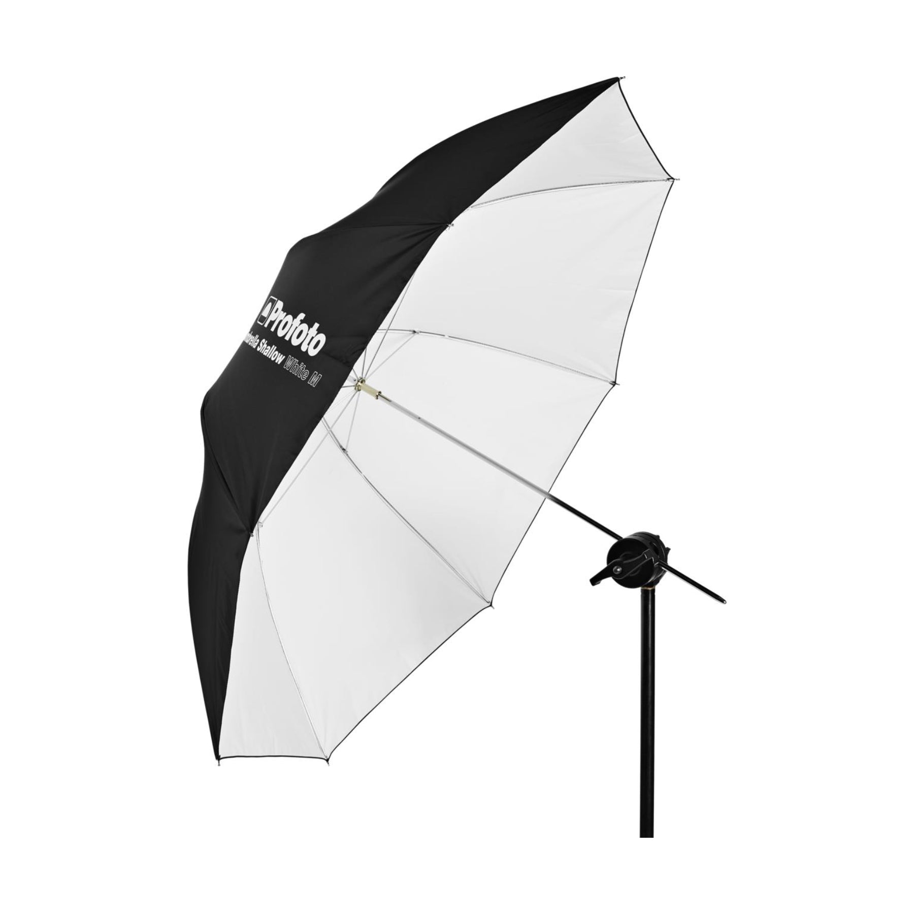 Buy Profoto Umbrella Shallow White | Topic Store