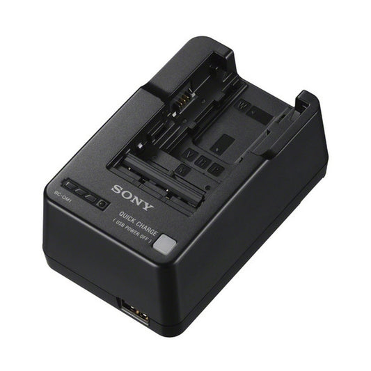 Buy Sony BC-QM1 InfoLithium Battery Charger| Topic Store